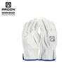 Picture of Rukavica ARDON®INDY